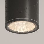 Потолочный светильник Outdoor O306CL-L7GF