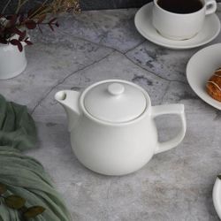 Чайник 450 мл d 10,1 см h11 см с фильтром белый фарфор P.L. Proff Cuisine [1]