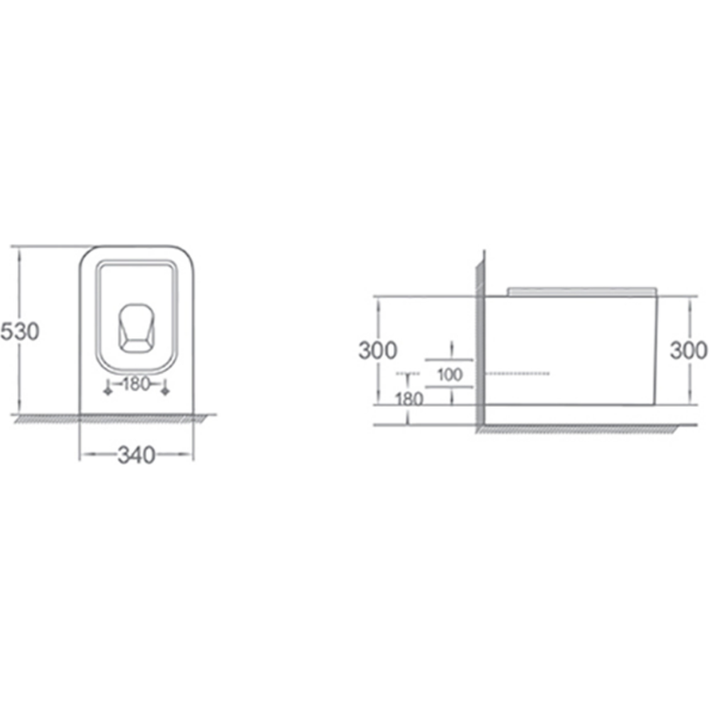 Унитаз подвесной с биде Boheme Mane 970-SET-2-MW, белый матовый с крышкой-сиденьем с микролифтом
