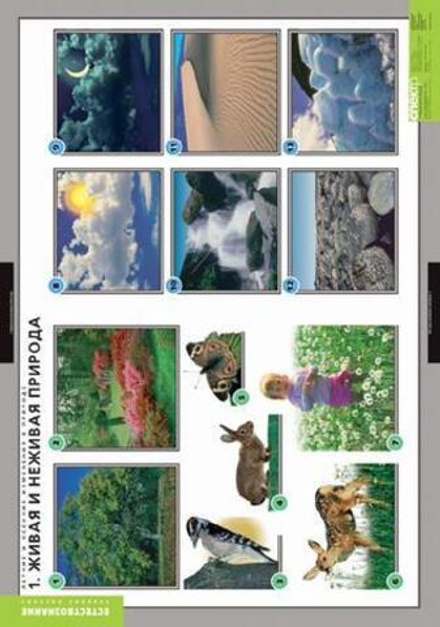 Комплект таблиц "Окружающий мир. Летние и осенние изменения в природе"; 13 таблиц + 32 карт.