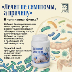Здоровый кишечник 180 гр.