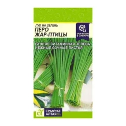 ЛУК НА ЗЕЛЕНЬ