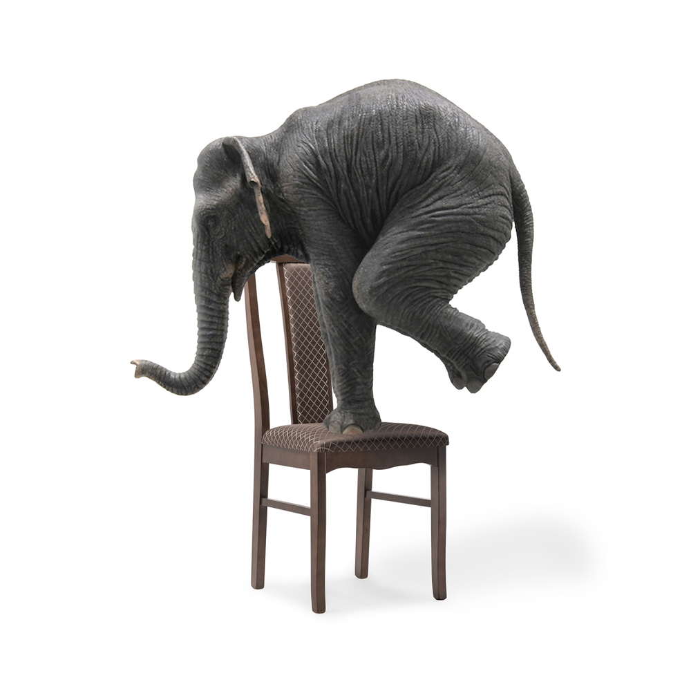 Стул деревянный Woodville Гроджин орех, коричневый, ножки орех