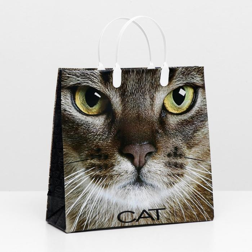 700 - 2025-11-12T113820.429