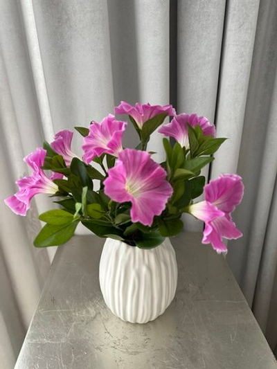 Петуния ярко-сиреневая в белом кашпо-30 см