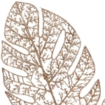 Ветка декоративная «Южная зима» 62 см, Шампань