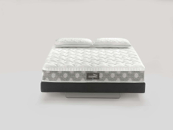 DOLCE VITA DUAL 10