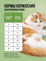 Влажный корм для котят и беременных кошек беззерновой с ягненком и овощами в соусе BOWL WOW 0,085 г. 12 упаковок