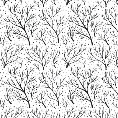 Ветки деревьев зима и снег на белом фоне