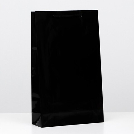 Пакет ламинированный, чёрный, 40,5 х 24,8 х 9 см.