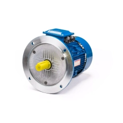 Электродвигатель 5АИ 100 L4 4/1500 IM3081