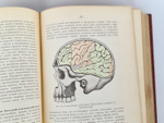 "Всеобщая психология с физиогномикой в иллюстрированном изложении". И.А.Сикорский. 1912 г.