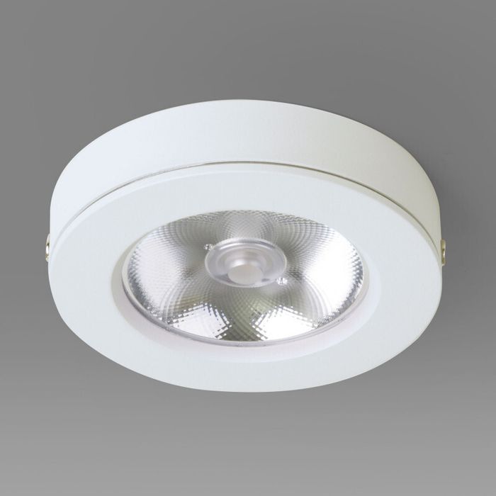 Накладной светильник Elektrostandard DLS030 10W 4200K белый