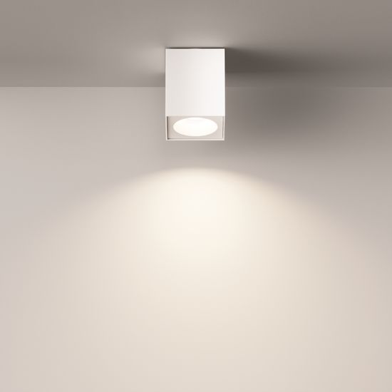 Потолочный светильник Technical C030CL-01W