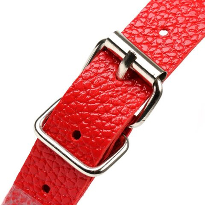 Красный кляп-шар с отверстиями для дыхания (Цвет: красный)