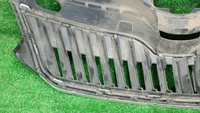 Решетка радиатора Skoda Rapid 1 (2012-2020)