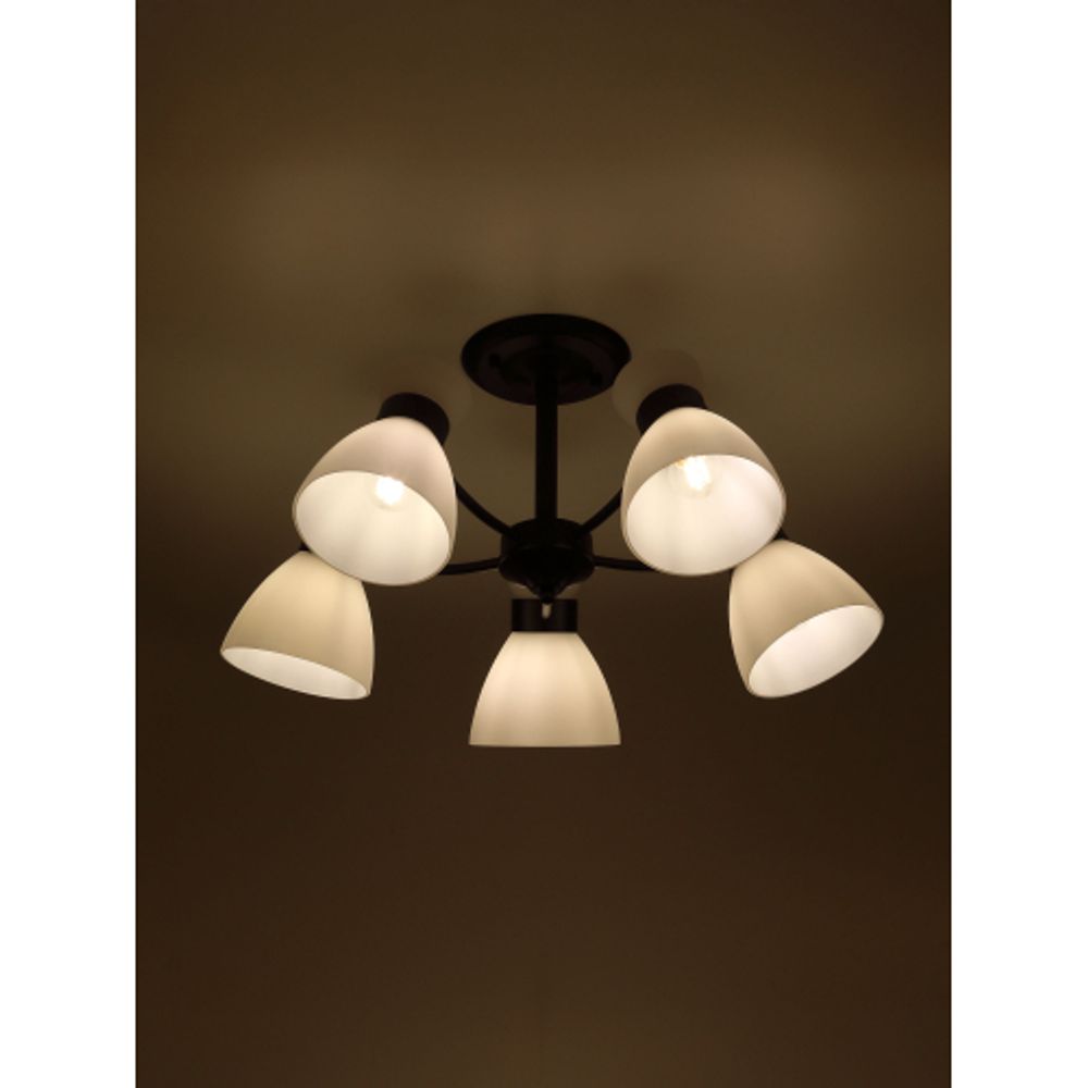 Люстра Rivoli Aemilia 9185-305 5хЕ27 60 Вт модерн | Rivoli