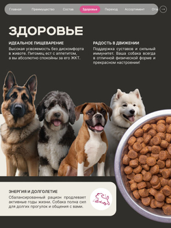 Корм сухой для взрослых собак породы Ньюфаундленд, премиум полнорационный комплекс, с говядиной, 12 кг, QUATTRO