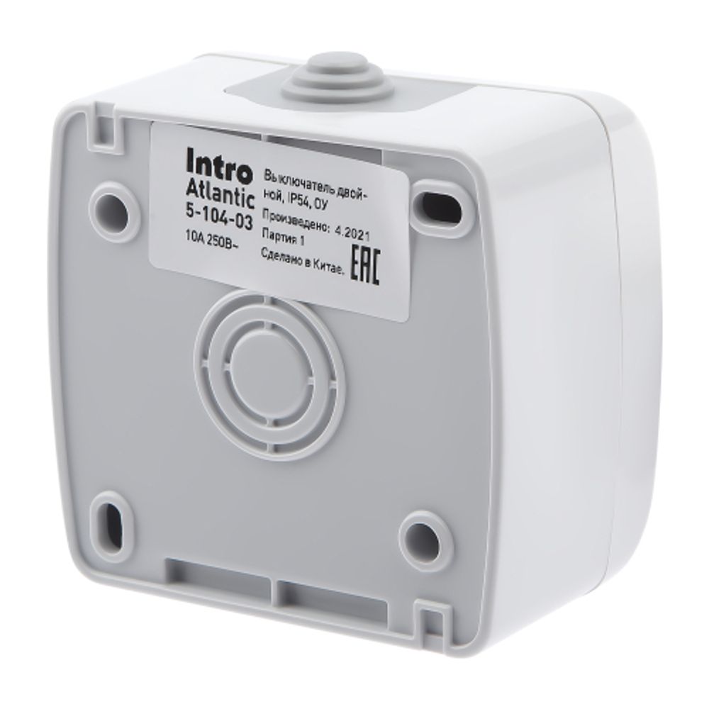 Выключатель Intro Atlantic 5-104-03 двойной, 10А-250В, IP54, открытой установки, серый | Intro