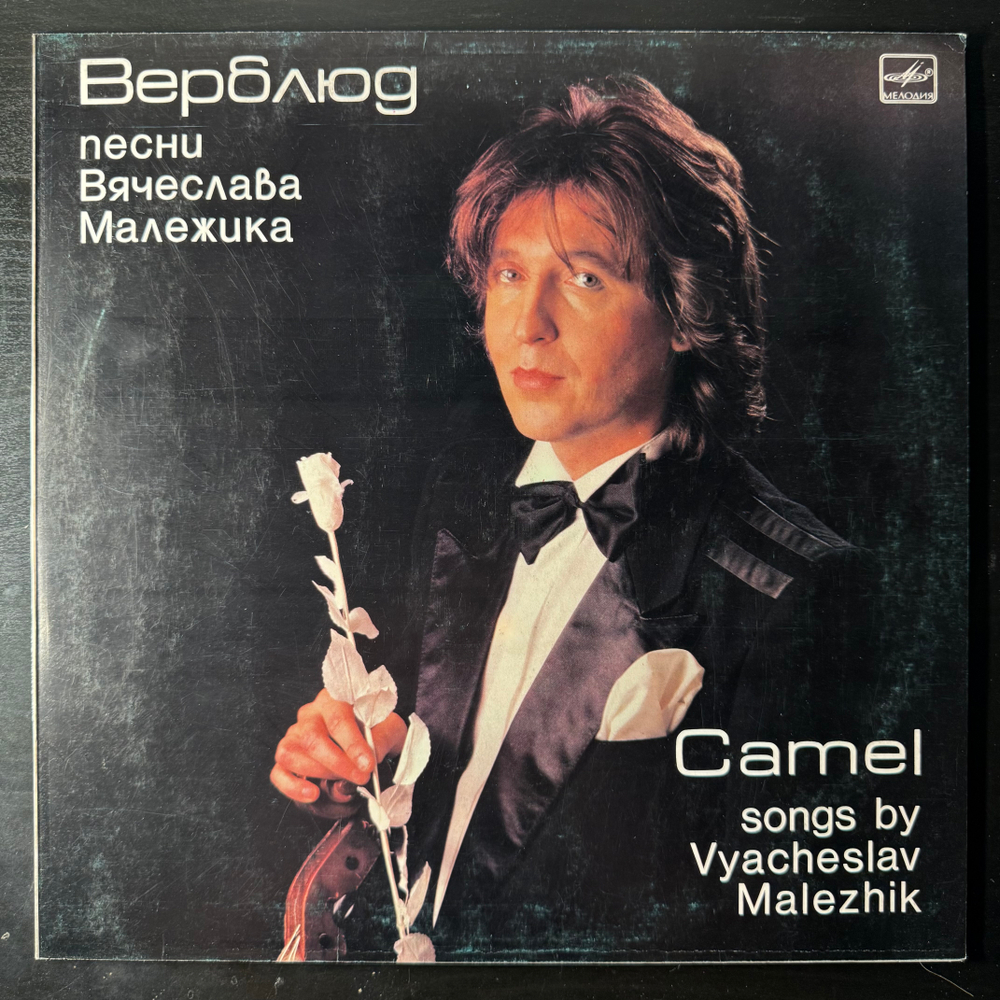 Виниловая пластинка Вячеслав Малежик ‎– Верблюд (Мелоlия) LP