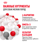 Royal Canin Mini Adult Корм сухой для взрослых собак мелких размеров от 10 месяцев 8 кг