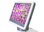 Микроскоп цифровой Levenhuk D85L LCD