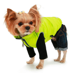 230 PA-OR Брюки "DENIM" /джинсы для собак