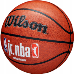 Мяч баскетбольный Wilson JR. NBA Fam Logo Indoor Outdoor WZ2009801XB6, размер 6