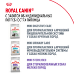 Royal Canin Chihuahua Adult Чихуахуа Эдалт Корм сухой для взрослых собак породы Чихуахуа от 8 месяцев 1,5кг