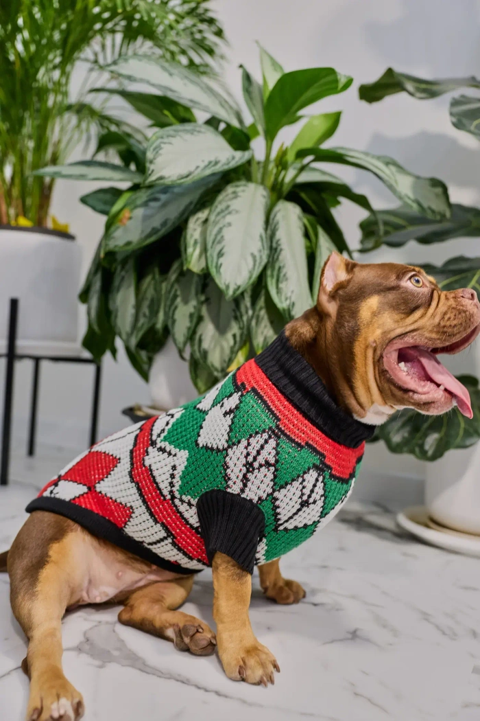 Для собачки