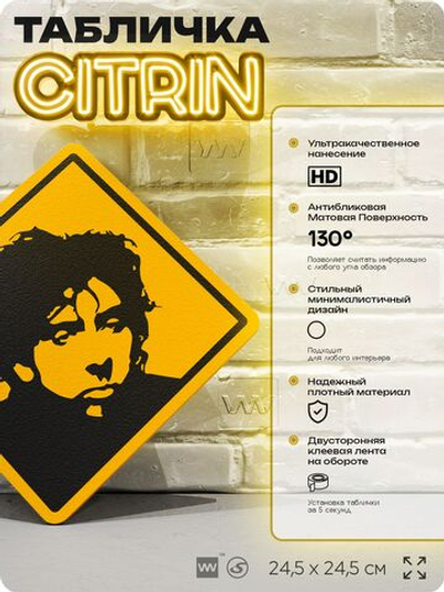 Табличка декоративная "Режиссер Тим Бертон, Tim Burton" на дверь и стену, прикольная штука в подарок, декоративный знак, 24,5х24,5 см, пластиковая, Айдентика Технолоджи
