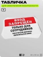 Табличка для обеспечения безопасности "Вход запрещен, только для сотрудников", для офиса, по охране труда для предприятия, организаций, 40х30 см, Silver Plane x Айдентика Технолоджи