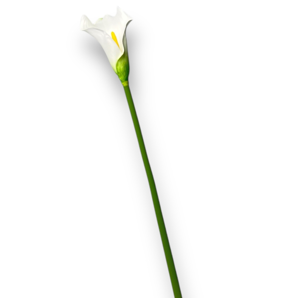 Гортензия премиум ярко-розовая