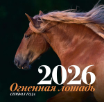 Символ года "Огненная лошадь". Настенный календарь на 2026 год