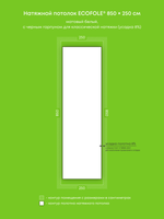 Матовый натяжной потолок 21.3 м2