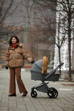 Детская коляска Anex l/type 3 в 1 Frost