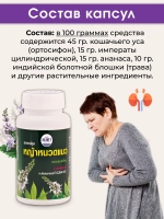 Средство для работы почек Кошачий Ус в капсулах