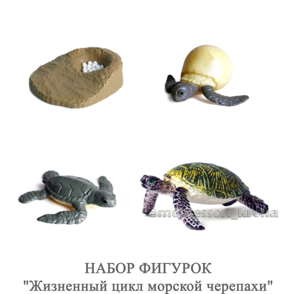 НАБОР ФИГУРОК "Жизненный цикл морской черепахи"
