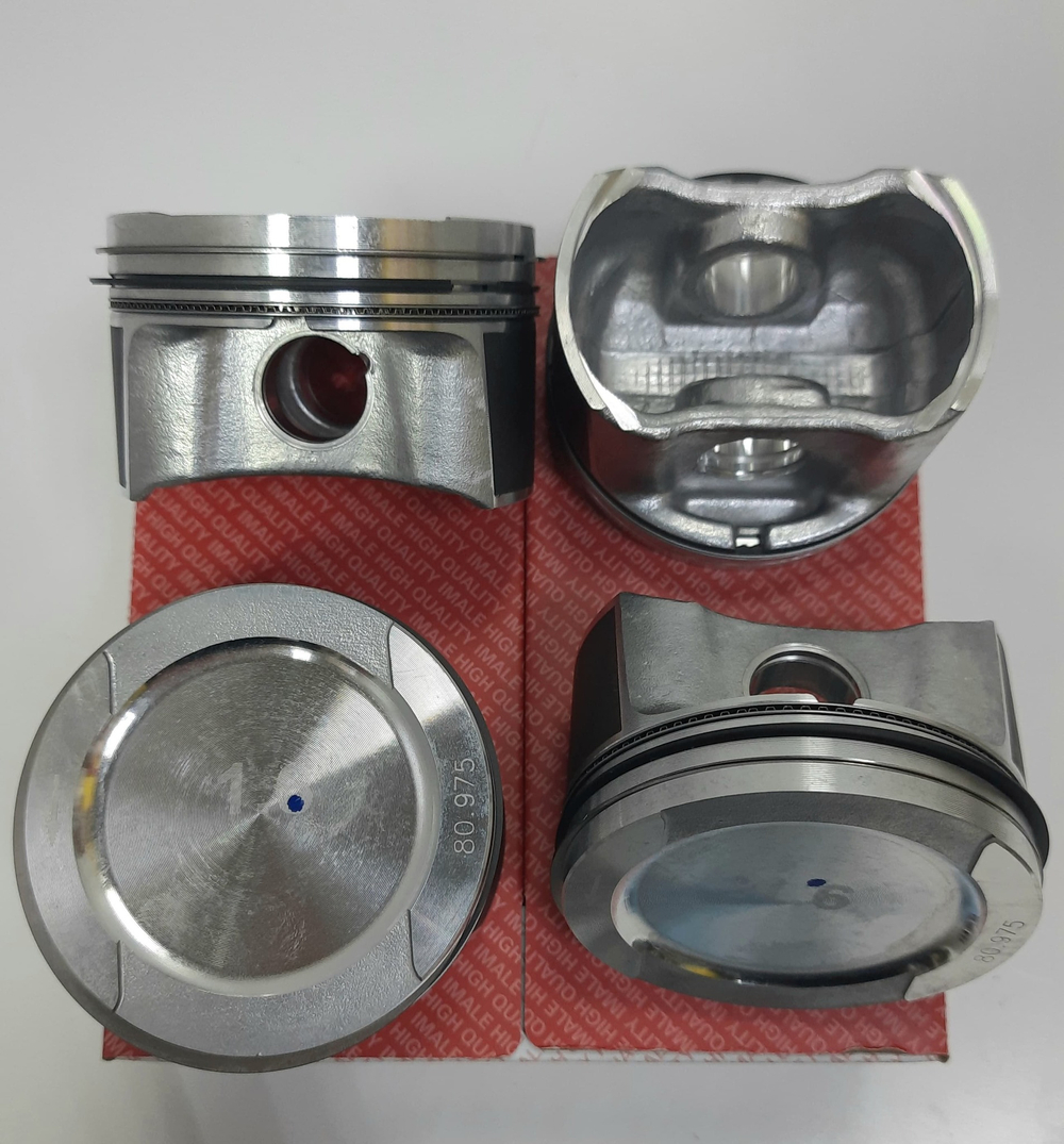 Поршни с кольцами STD BSE BFQ IMALE