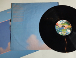 Винтажная виниловая пластинка LP Dire Straits Brothers In Arms (Germany 1985)