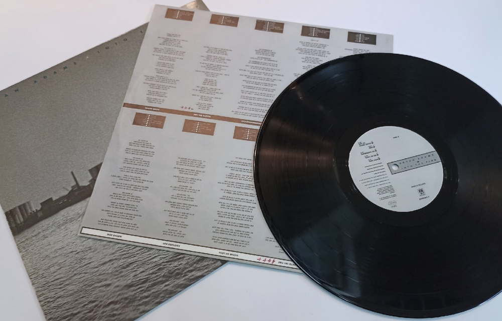 Bryan Adams Into The Fire (Germany 1987)