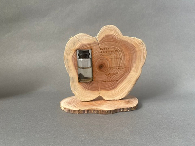 Капля древнего моря Тюмени