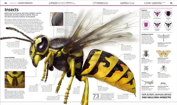 Knowledge encyclopedia