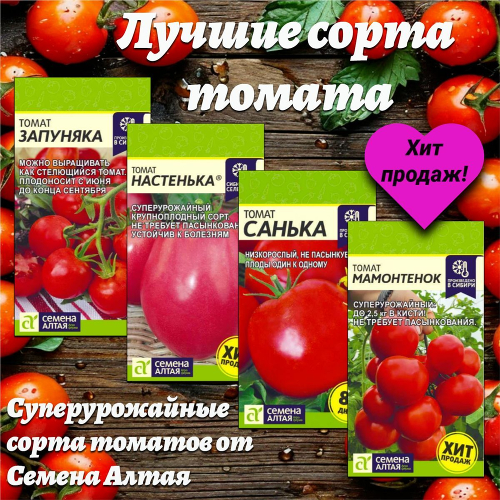 Лучшие сорта томата. Семена Алтая