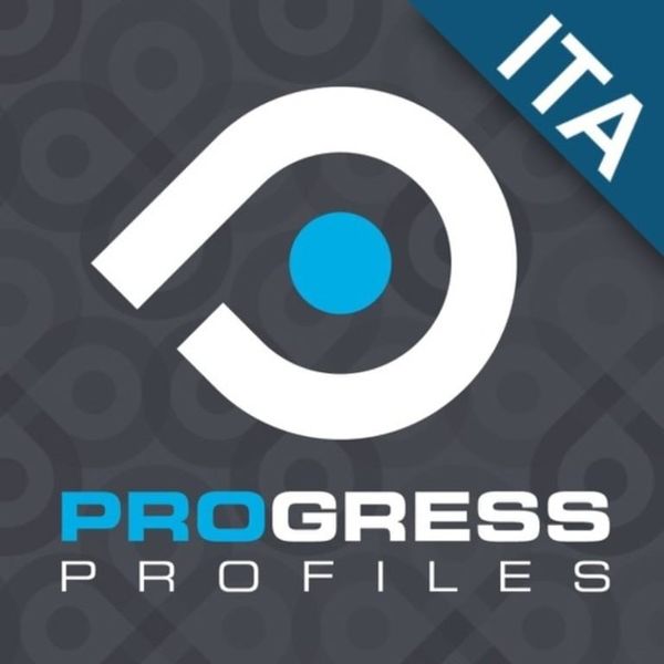 Ликвидация итальянских профилей Progress Profiles по закупочным ценам 2020 года