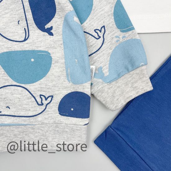 Комплект из футера "Captain whale" с футболкой