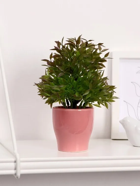 Бонсай "Кустовой" 7*18 см МИКС