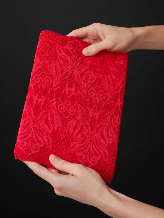 03-294 Кружево эластичное 24 см, красный 100