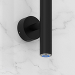 Сунержа Аскет 1650