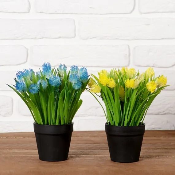 Бонсай в горшке &quot;Эхмея с травой&quot; 9*19 см, микс